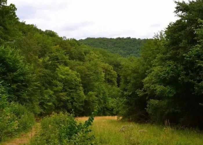 Ferienhaus Fuer Fuenf Personen By Interhome *